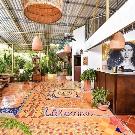 Cabinas Jacaranda Puerto Viejo de Talamanca Exteriér fotografie