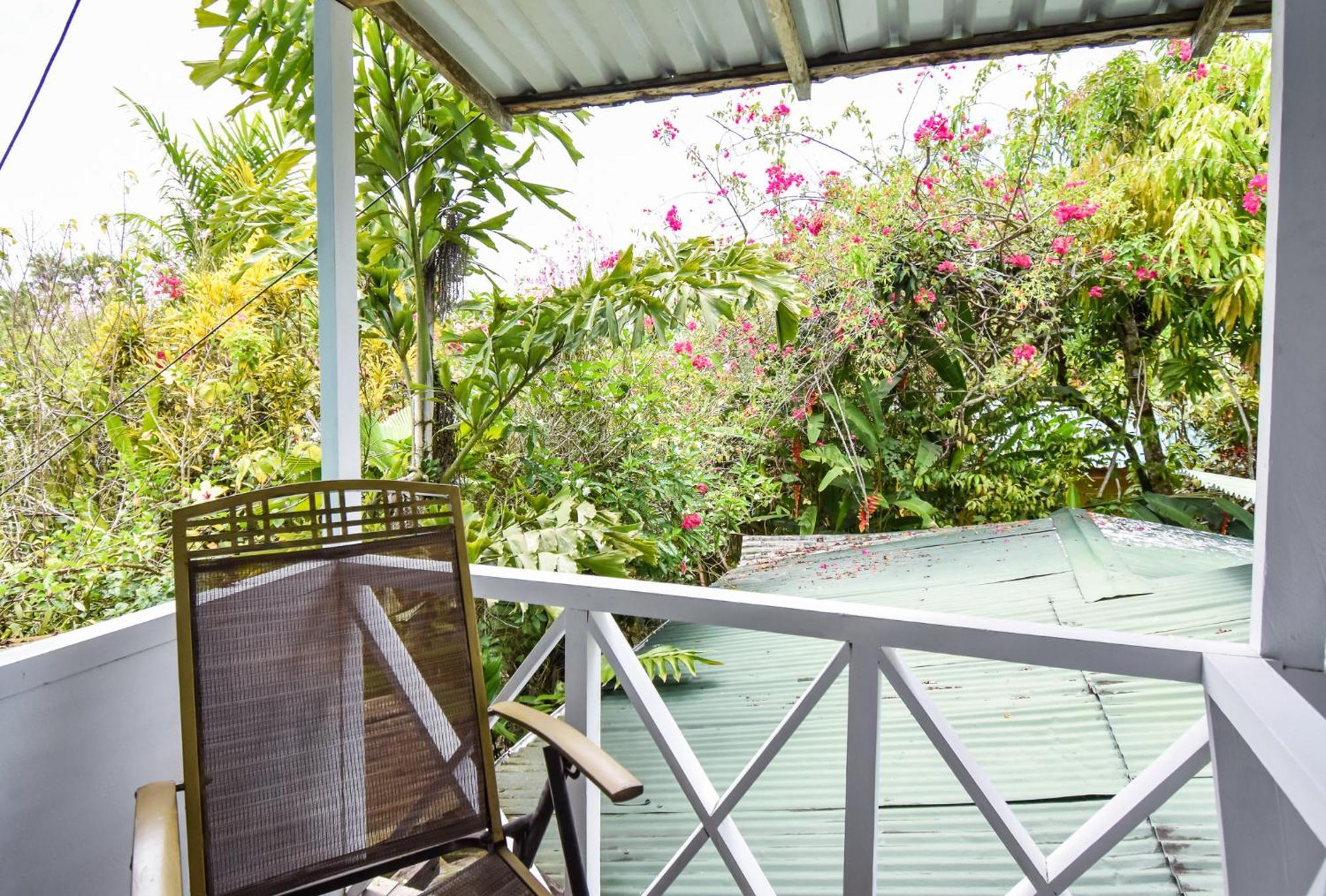 Cabinas Jacaranda Puerto Viejo de Talamanca Exteriér fotografie