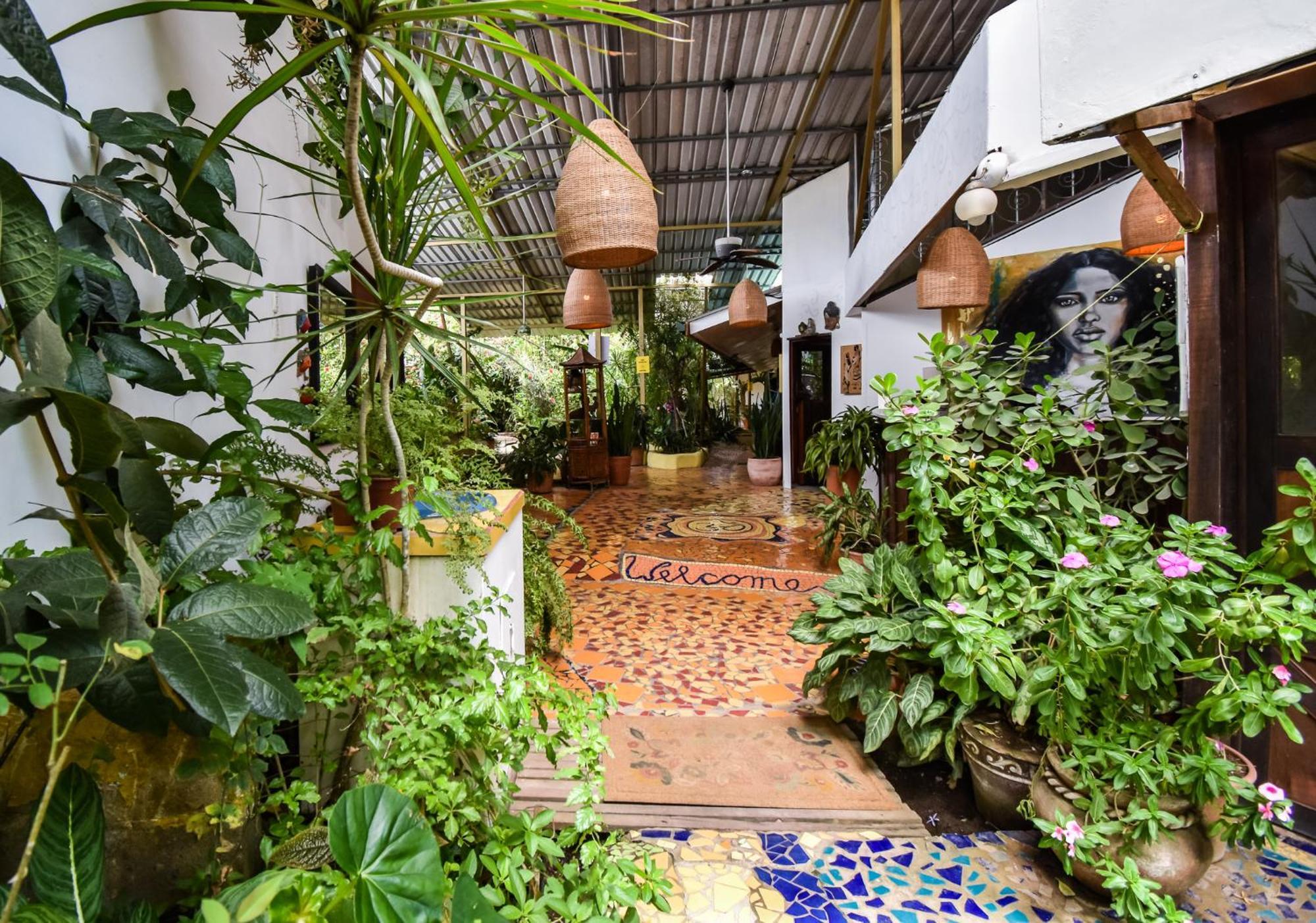 Cabinas Jacaranda Puerto Viejo de Talamanca Exteriér fotografie