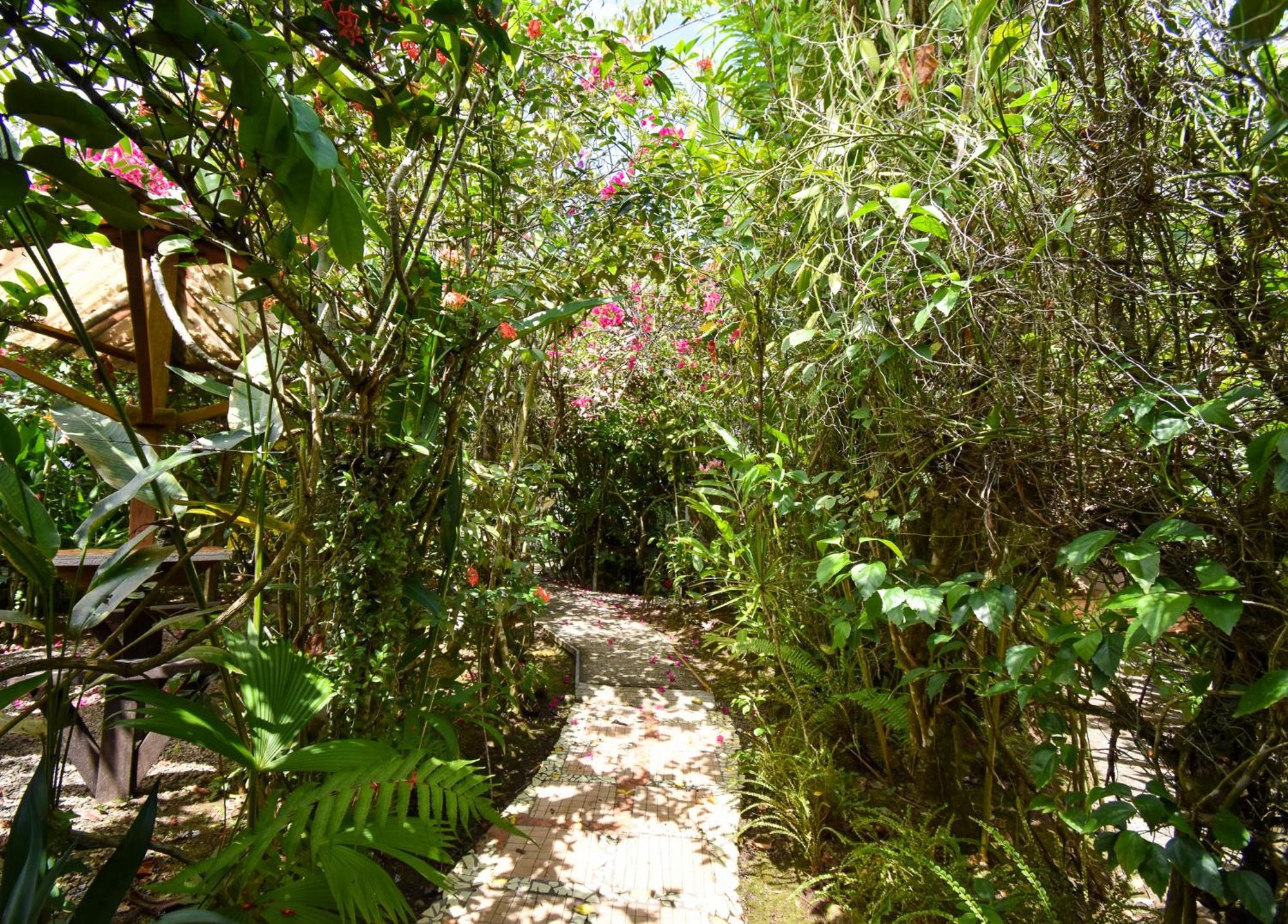 Cabinas Jacaranda Puerto Viejo de Talamanca Exteriér fotografie