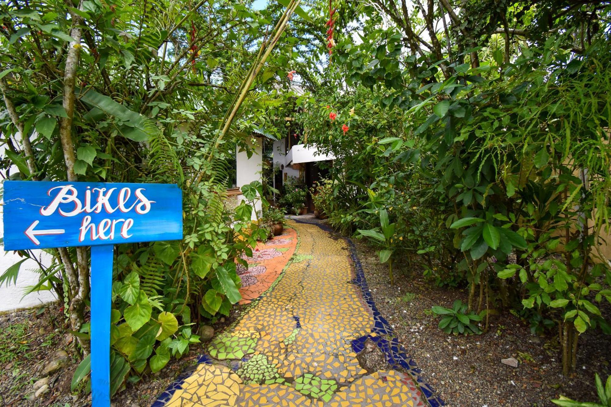 Cabinas Jacaranda Puerto Viejo de Talamanca Exteriér fotografie