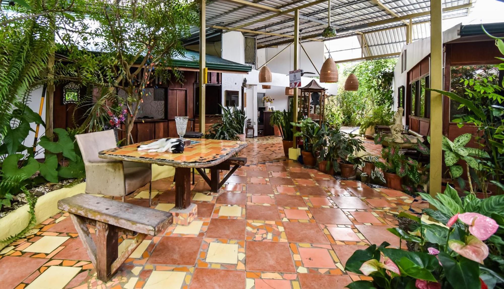 Cabinas Jacaranda Puerto Viejo de Talamanca Exteriér fotografie