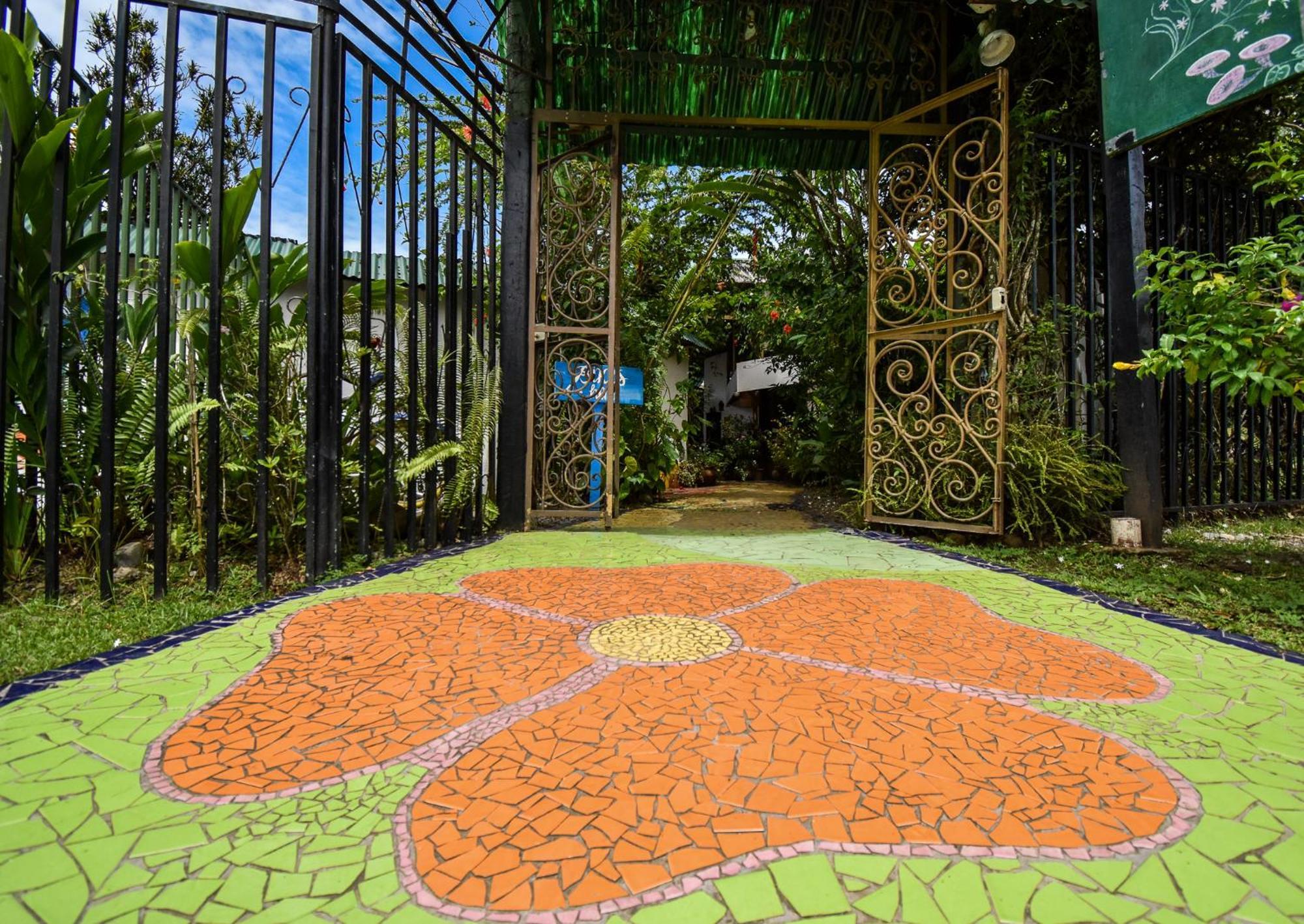 Cabinas Jacaranda Puerto Viejo de Talamanca Exteriér fotografie