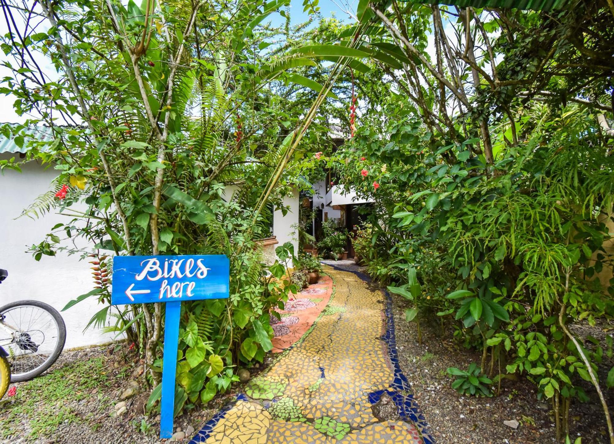 Cabinas Jacaranda Puerto Viejo de Talamanca Exteriér fotografie